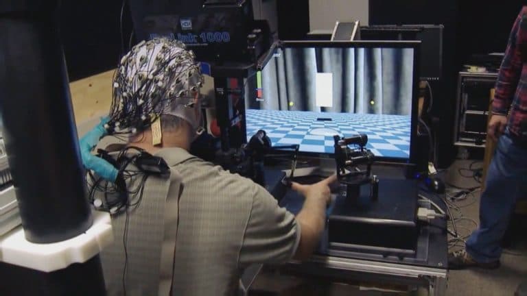 Эволюция будущего